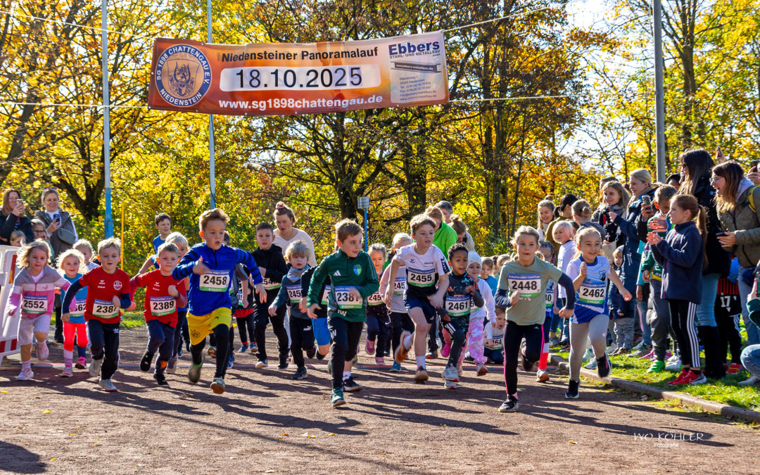 Rückblick 23. Niedensteiner Panoramalauf